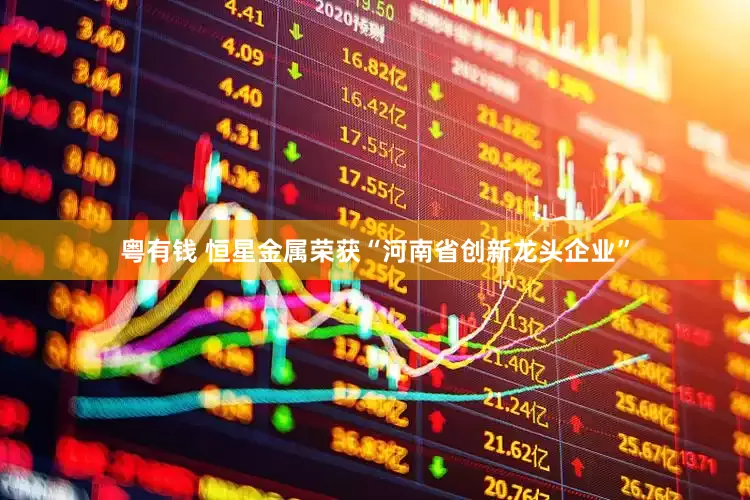 粤有钱 恒星金属荣获“河南省创新龙头企业”