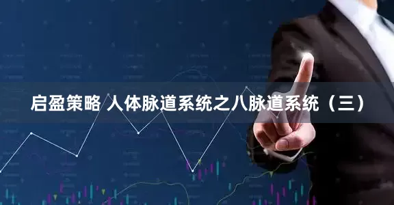 启盈策略 人体脉道系统之八脉道系统（三）