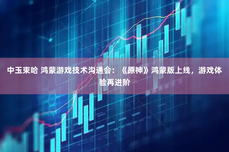 中玉束哈 鸿蒙游戏技术沟通会：《原神》鸿蒙版上线，游戏体验再进阶