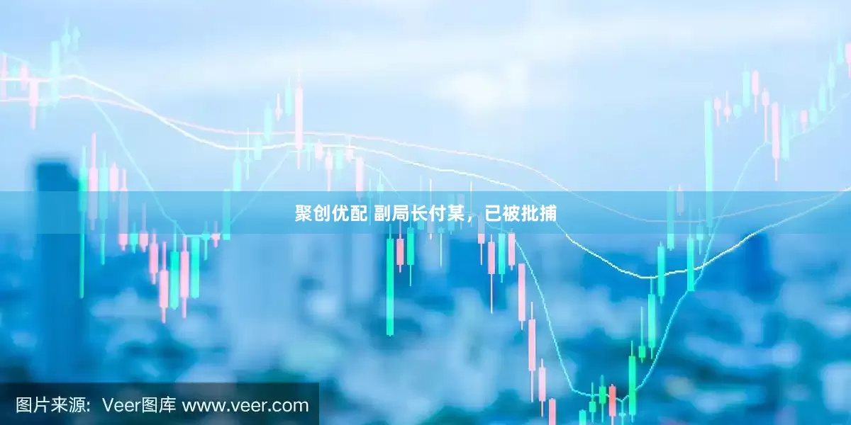 聚创优配 副局长付某，已被批捕