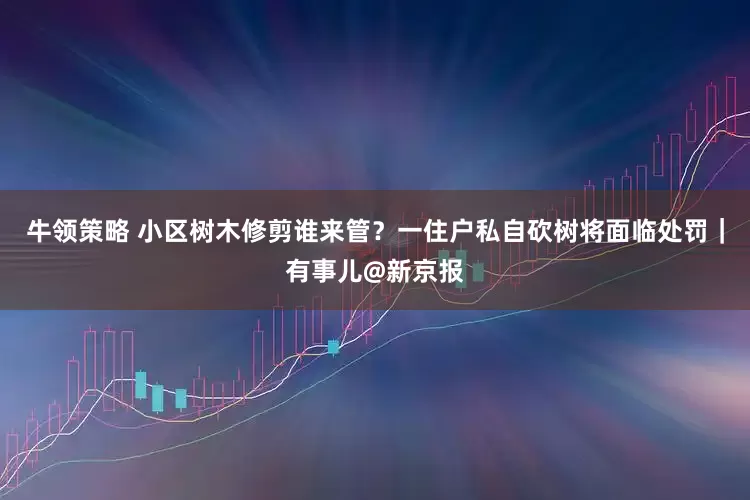牛领策略 小区树木修剪谁来管？一住户私自砍树将面临处罚｜有事儿@新京报