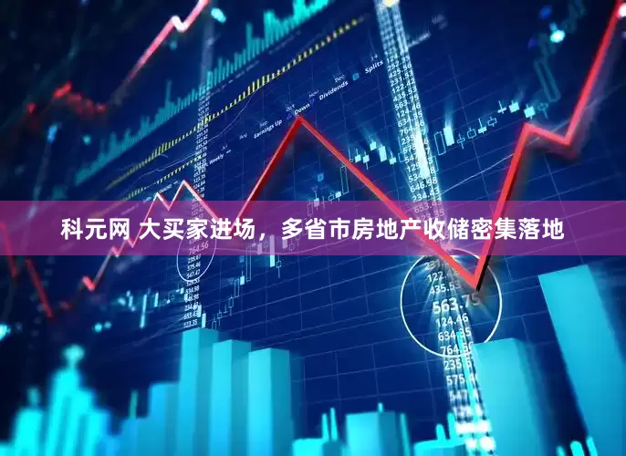 科元网 大买家进场，多省市房地产收储密集落地