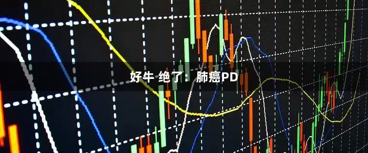 好牛 绝了：肺癌PD