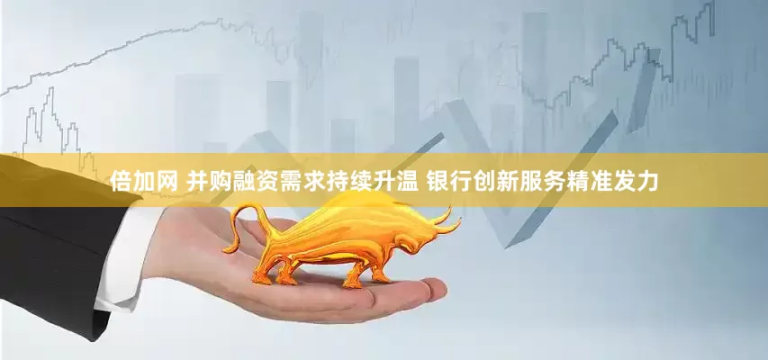 倍加网 并购融资需求持续升温 银行创新服务精准发力