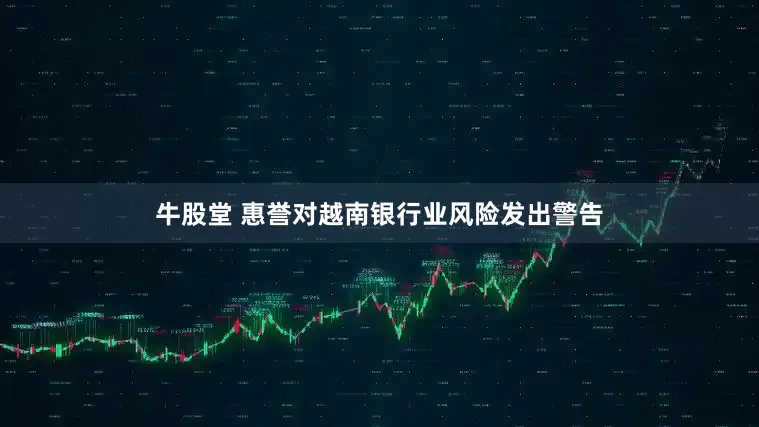 牛股堂 惠誉对越南银行业风险发出警告
